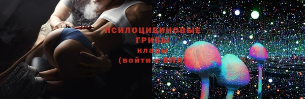 ешки Магас