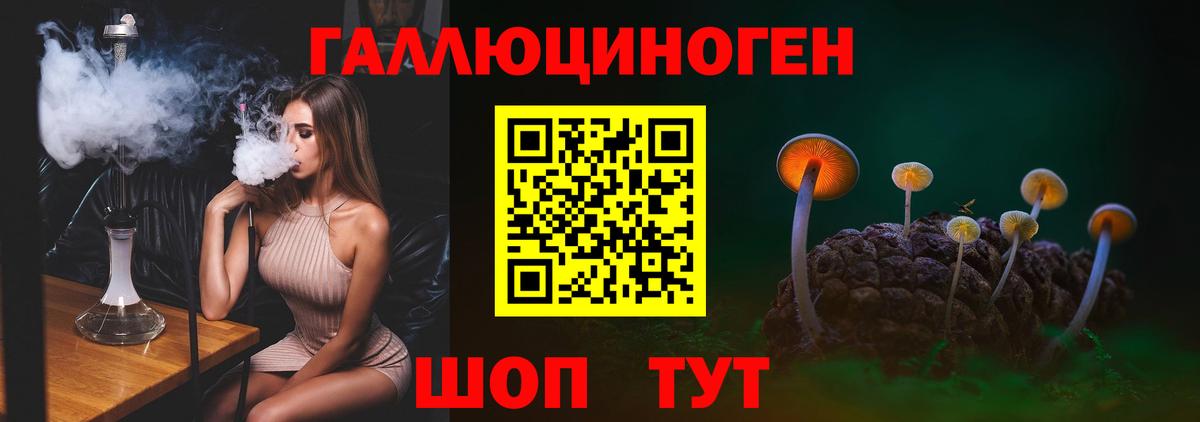 Евпатория  Псилоцибиновые грибы MAGIC MUSHROOMS  Вход с VPN 